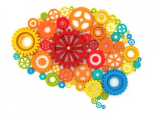 brain gears